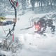 Horizon: Zero Dawn